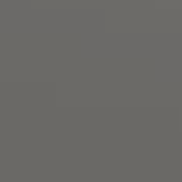 Charcoal - NP N 3105 D