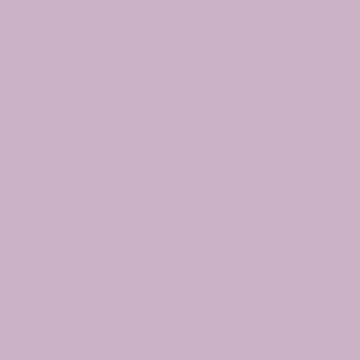 Chata Phlox - NP PB 1398 P