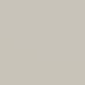 Chic Gray - NP N 3026 P