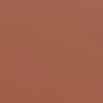 Chinese Curry - NP R 2383 A