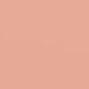 Clay Brushed - NP R 1368 P