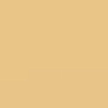 Coachlight - NP YO 1168 T