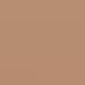Coated Hazel - NP N 3133 D