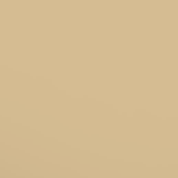 Comfy Tan - NP N 1839 T