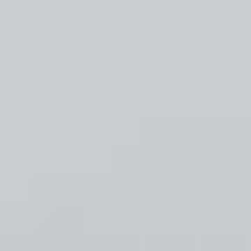 Cool Gray - NP N 2992 P