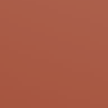 Copper Coin - NP R 2373 A