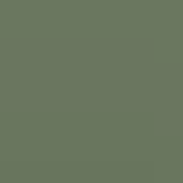 Costume Green - NP AC 2120 A