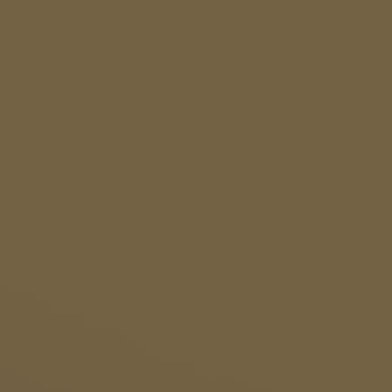 Creamy Caramel - NP N 1848 A