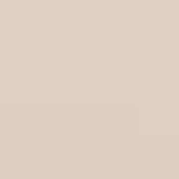 Creamy Chocolate - NP N 3179 P