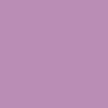 Creeping Phlox - NP PB 1399 T