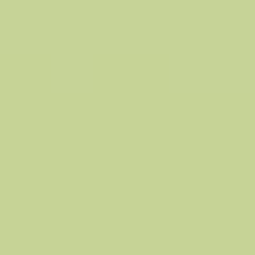Creeping Willow - NP BGG 1770 T