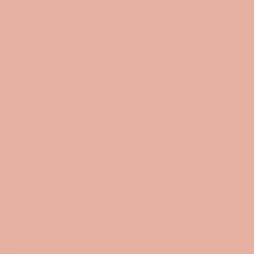 Crushed Clay - NP R 1363 P