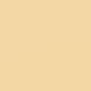 Custard Crème - NP YO 2475 P