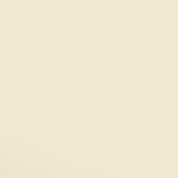 Daisy White - NP OW 1014 P
