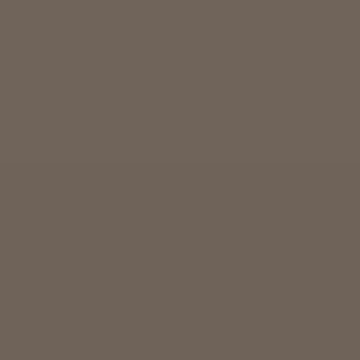 Dark Brunette - NP N 3198 A