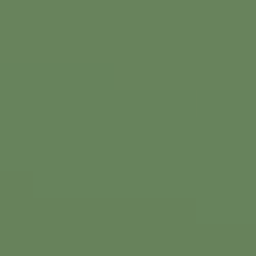 Dark Green - NP AC 2119 A