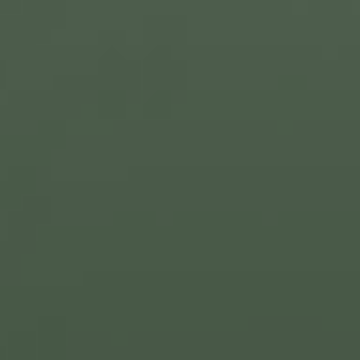 Deep Roots - NP N 3271 A