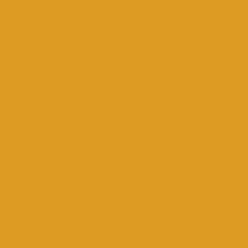Deep Safron - NP AC 2051 A