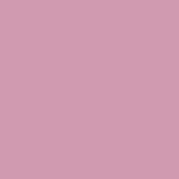 Dim Rose - NP R 2298 T