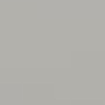 Dinosaur Gray - NP N 2042 P