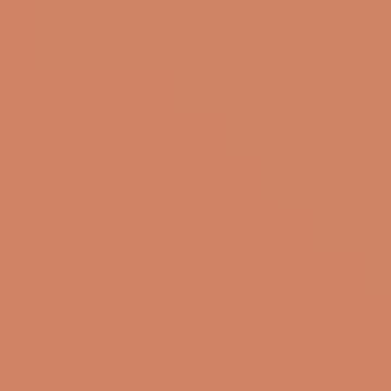 Dried Apricot - NP YO 2414 D