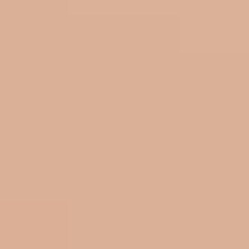 Dried Clay - NP N 3164 T