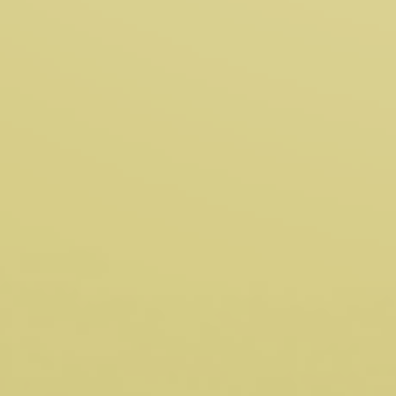 Dried Palm - NP BGG 1721 T