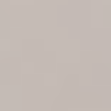 Dusty Mauve - NP N 3362 P