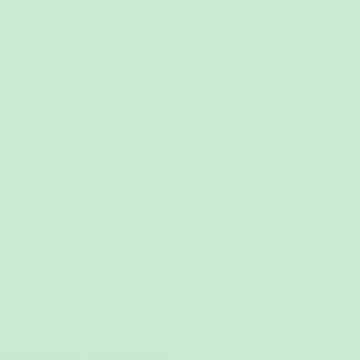 Elf Boots - NP BGG 2669 P