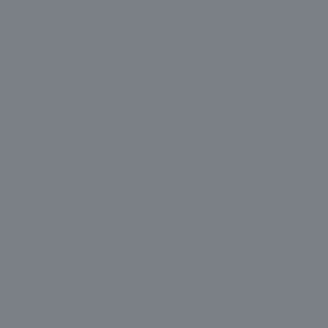 Empire Gray - NP N 2989 D