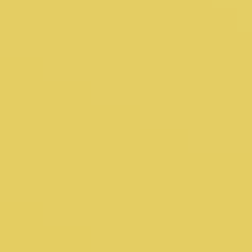 Evergold - NP YO 1099 D