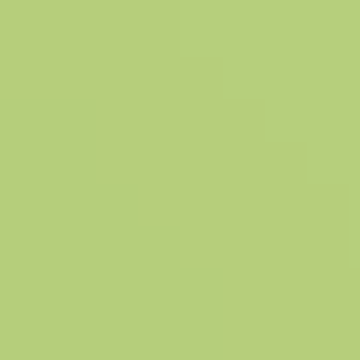 Exclusive Green - NP BGG 1674 D
