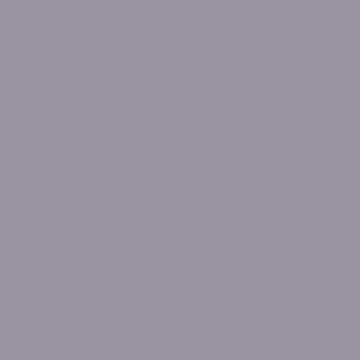 Eye Shadow - NP N 3328 T