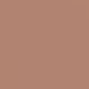 Fallen Leaves - NP N 3170 T