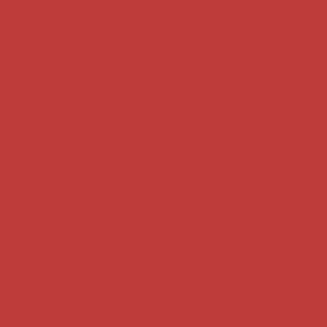 Fiery Boss - NP AC 3417 A