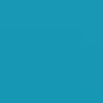 Florence Blue - NP BGG 1576 D