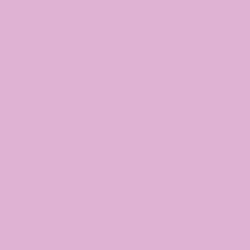 Flower Fields - NP PB 1391 P