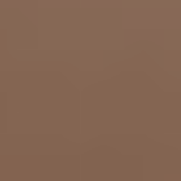 Fortune Cookie - NP AC 2133 A