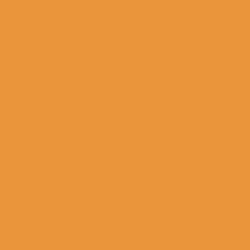 Fresh Orange - 9053