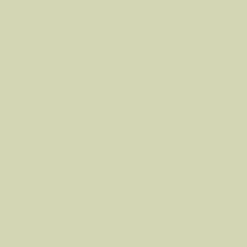 Froggy's Leaf - NP BGG 1748 P