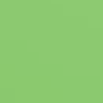 Frolic Green - NP BGG 1660 D