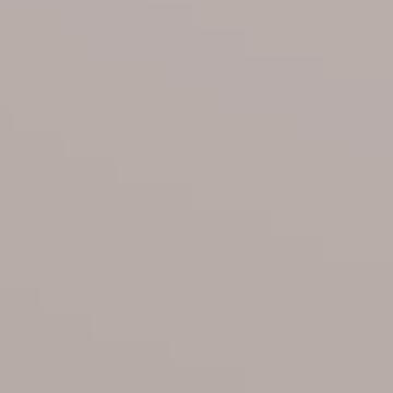 Garden Dust - NP N 1913 P