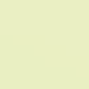 Ginger Lemongrass - NP BGG 2586 P