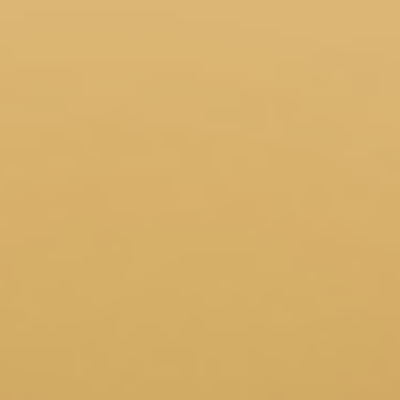 Ginger Snap - NP N 3252 D