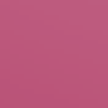 Girls' Night Out - NP R 2304 A