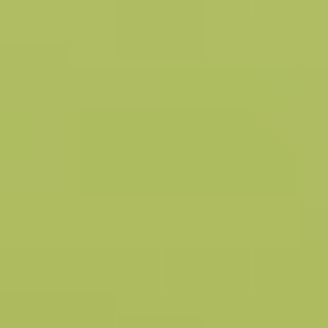 Grassy Lawn - NP BGG 2602 D