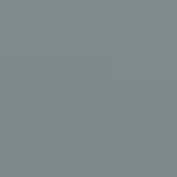 Gray Chalk - NP N 2010 T