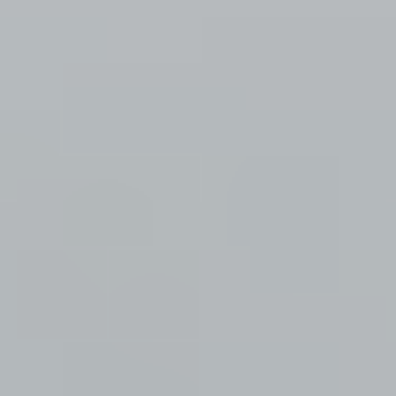 Gray Coat - NP N 2993 P