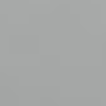 Gray Dolphin - NP N 2046 P