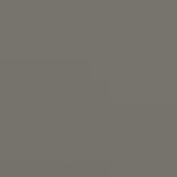 Gray Dots - NP N 2038 D